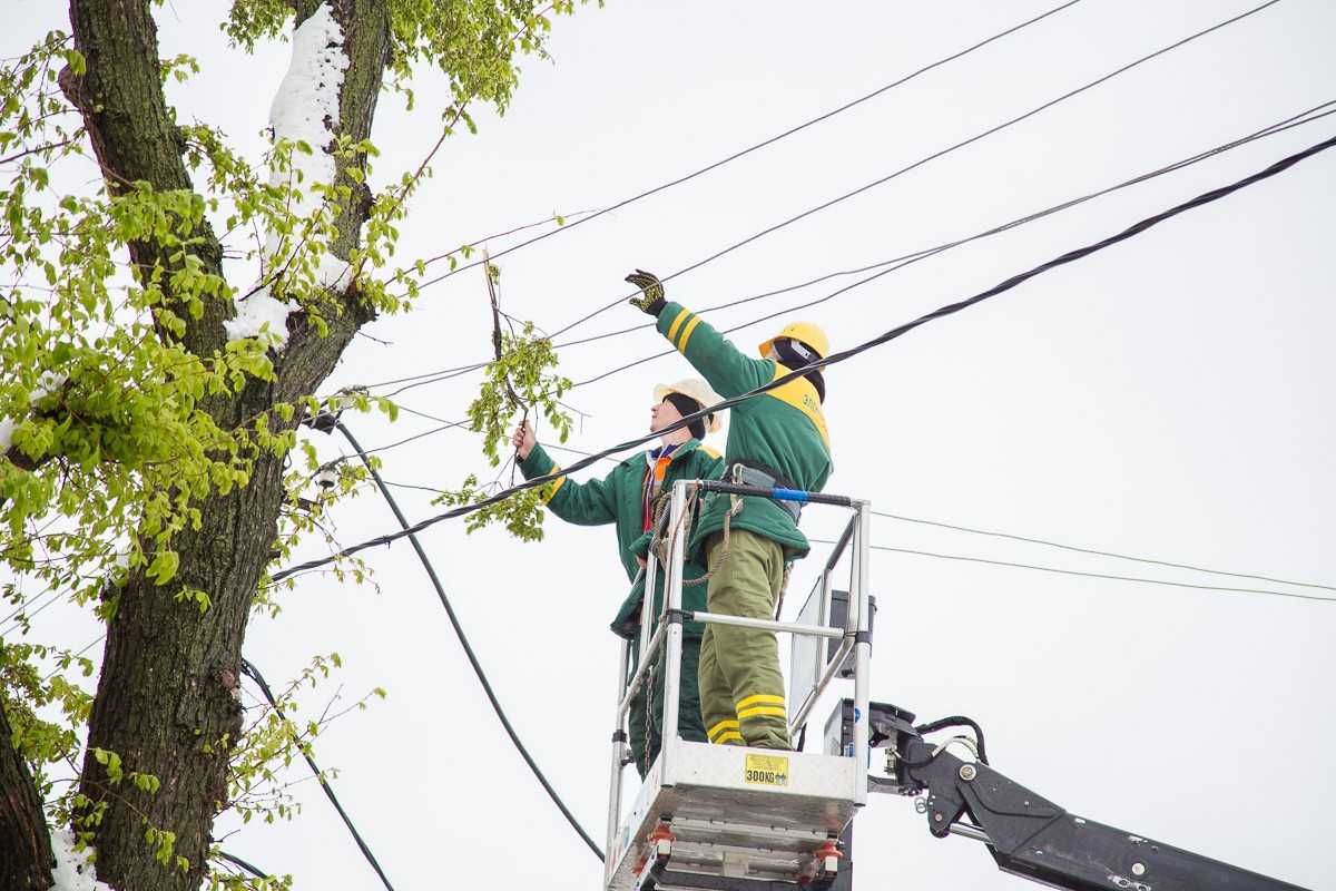 Без света в Новгородской области остаются более 700 жителей