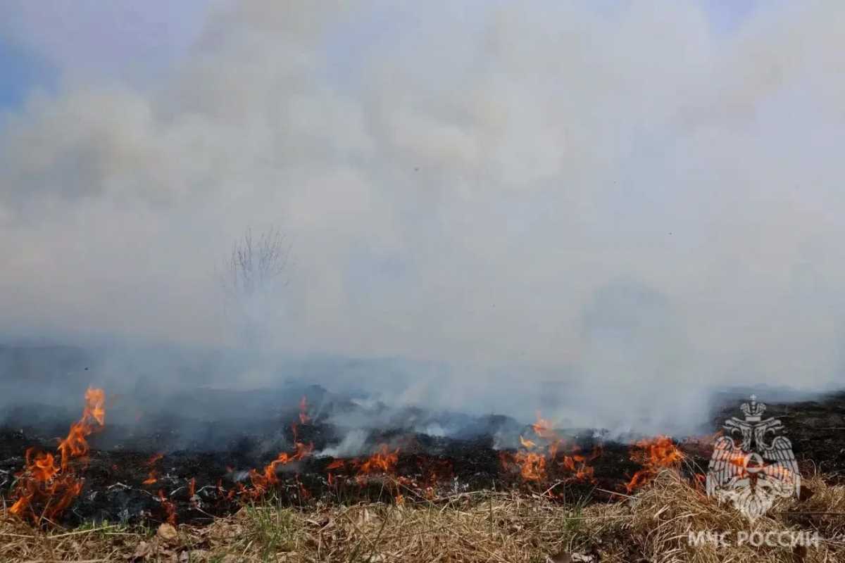 В посёлке Демянск сгорел неэксплуатируемый дом
