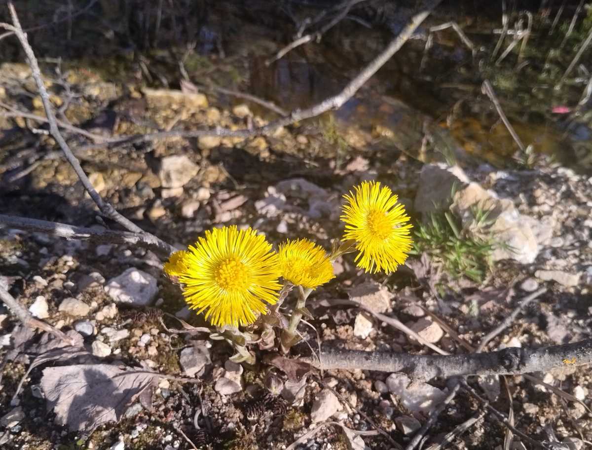 Северный циклон принесёт в Новгородскую область холод, дождь и снег