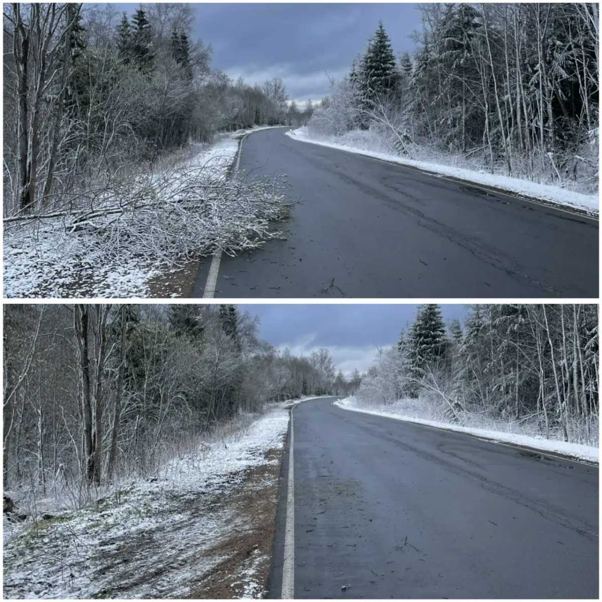 Более 450 поваленных ветром деревьев и кустарников убрали с дорог Новгородской области