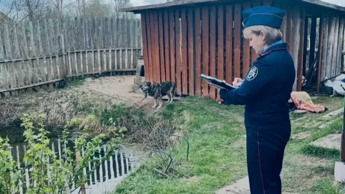 После общения на даче в Крестецком округе мужчина обнаружил собеседника мёртвым в пруду