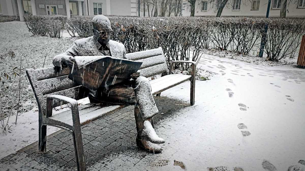 В Новгородскую область придут снег с дождём и северный ветер