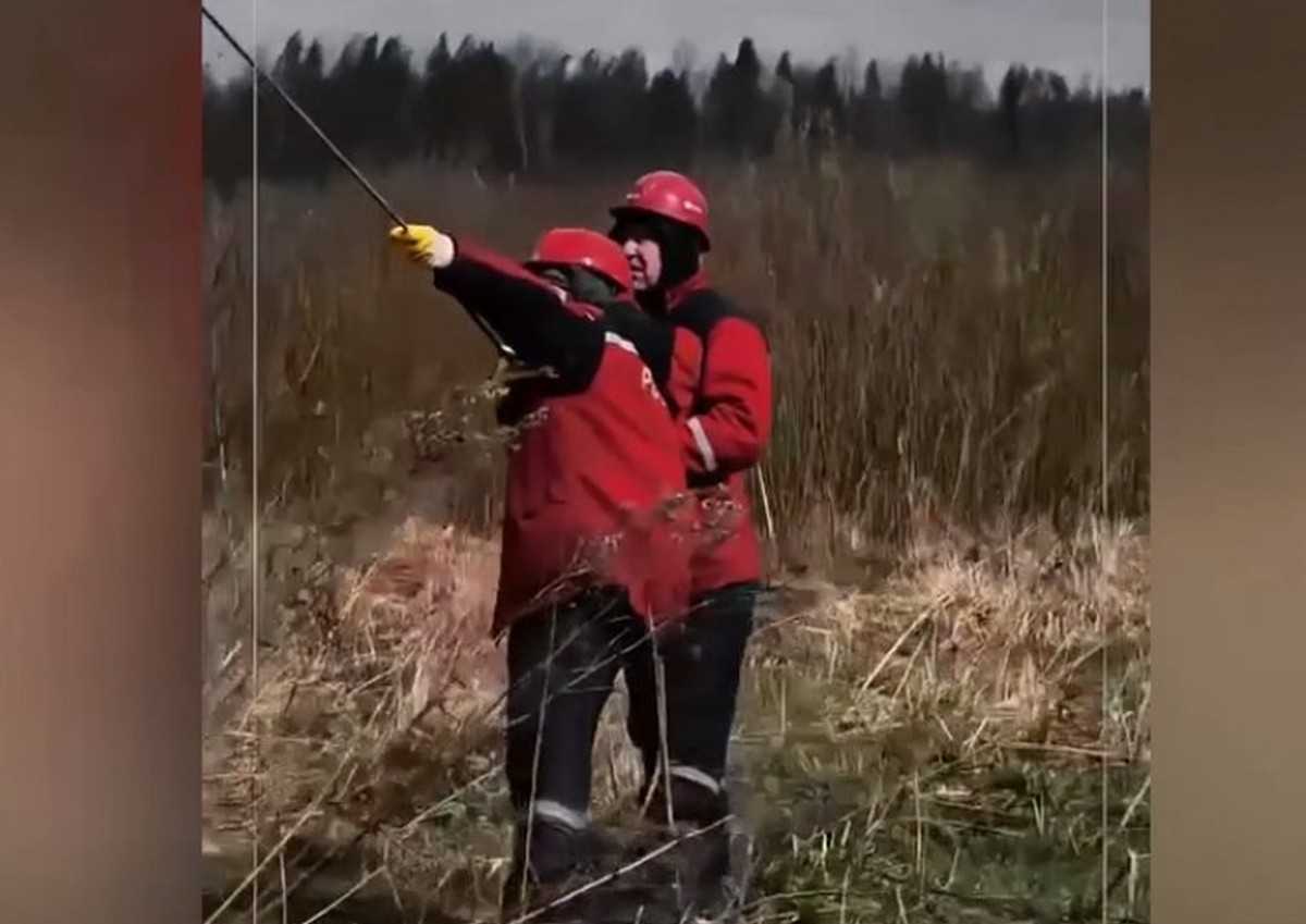 Около 5 тысяч жителей Новгородской области подключили к электроснабжению