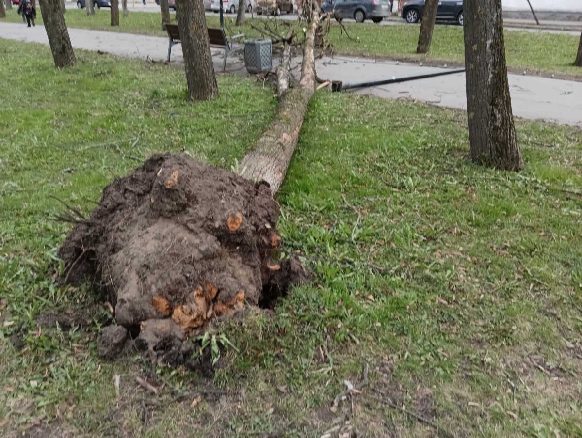 Более 7 тысячам жителей Новгородской области восстановили энергоснабжение