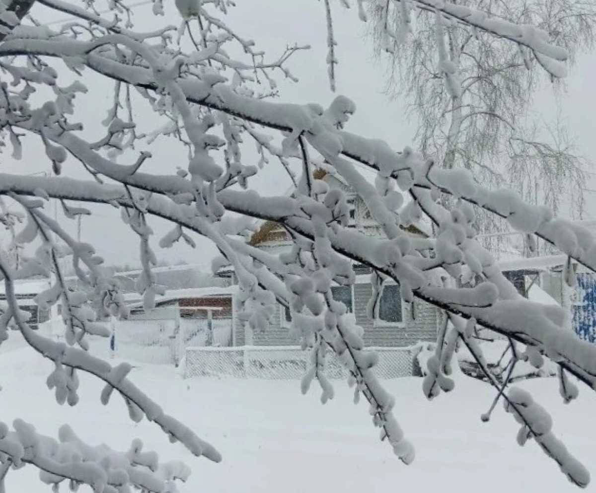 На восток Новгородской области вернулась зима