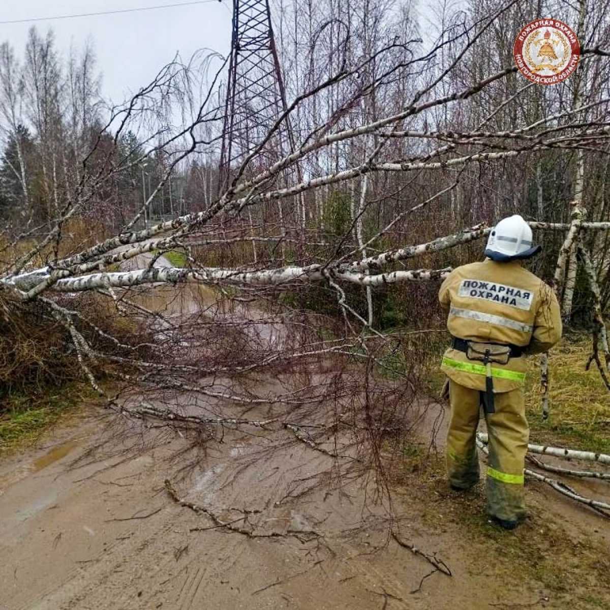 Энергоснабжение возобновили у 15 тысяч жителей Новгородской области