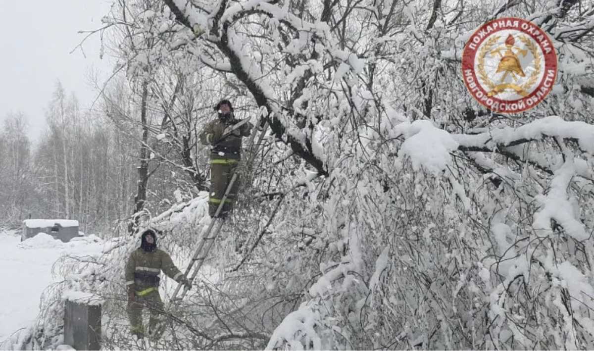 В Новгородской области на 75% восстановили электроснабжение в обесточенных округах