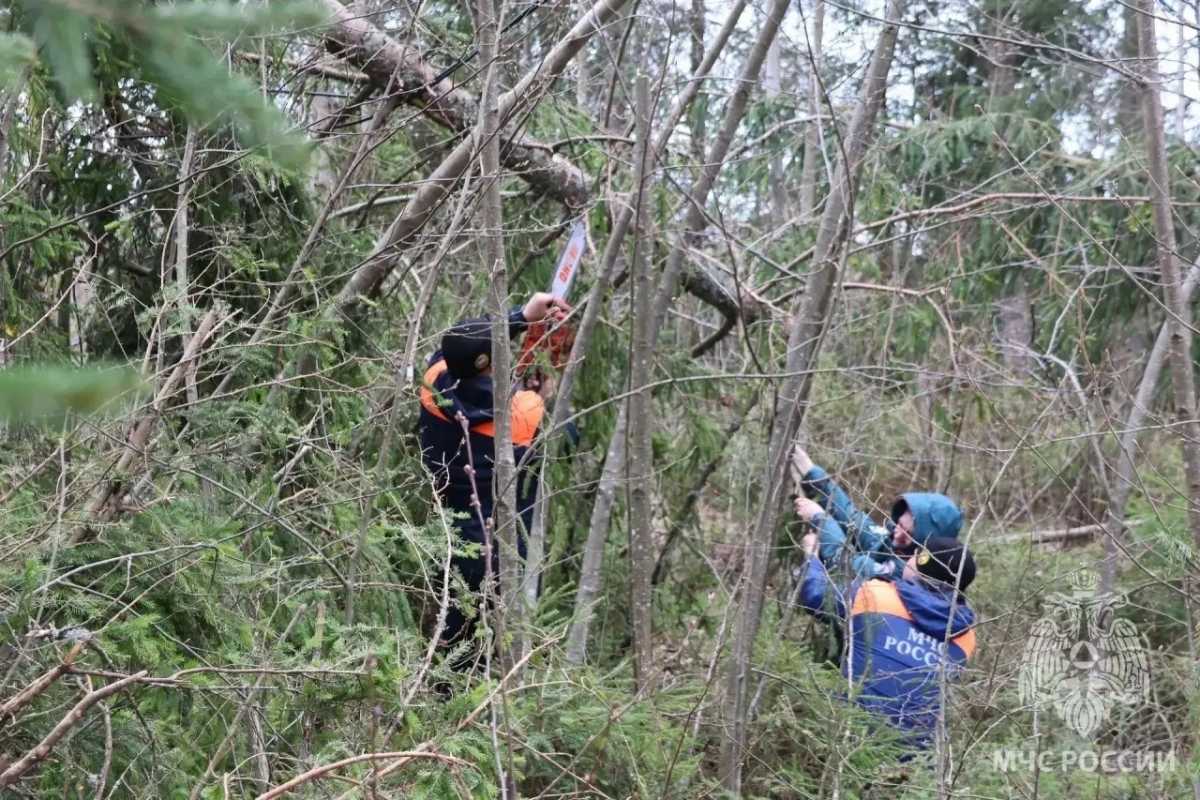 Энергоснабжение в Новгородской области восстанавливают 85 бригад энергетиков