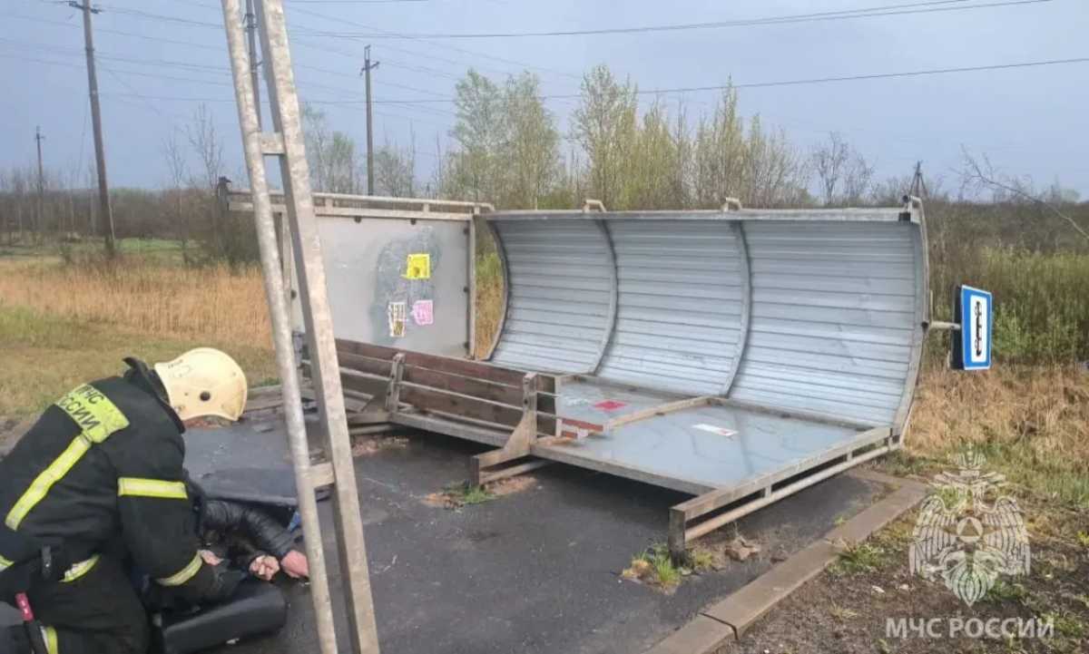 Под Великим Новгородом порывы ветра опрокинули остановку на мужчину