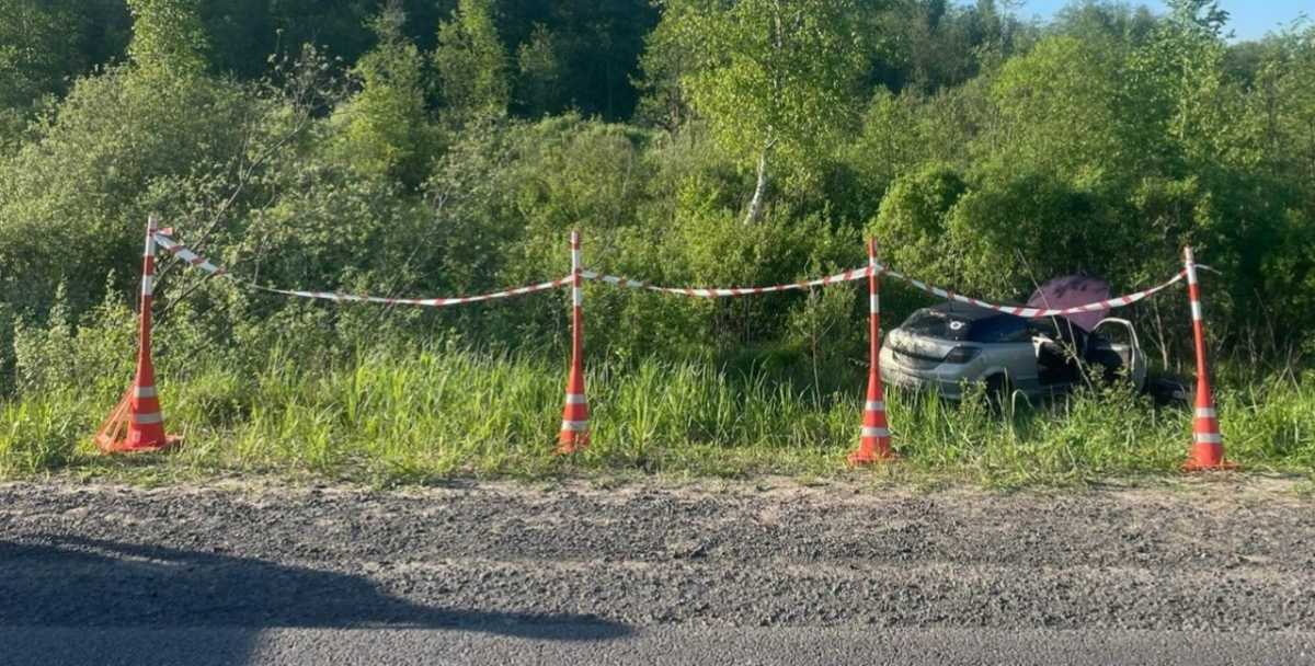 В ДТП в Новгородском округе пострадали водитель и пассажир «Опеля» В ДТП в Новгородском округе пострадали водитель и пассажир «Опеля»