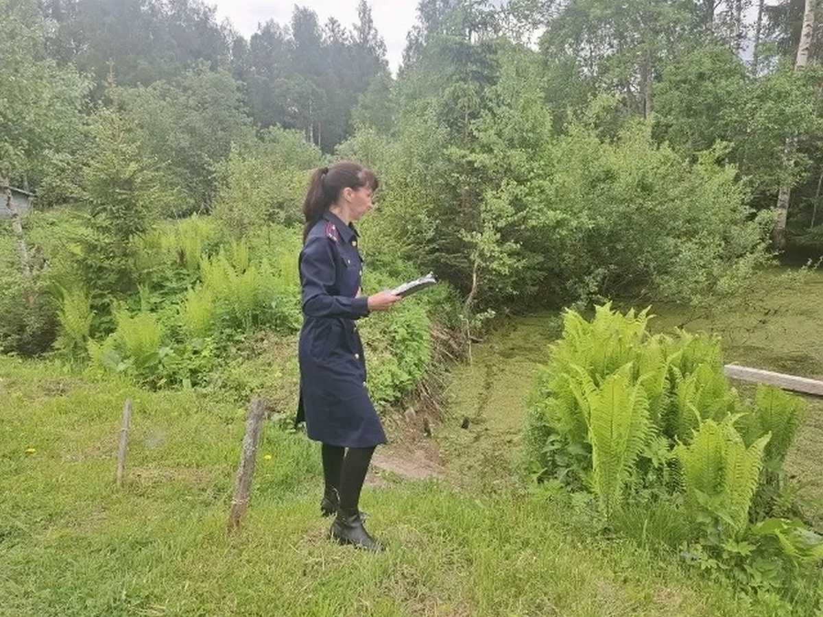 В дачном массиве в Крестецком округе обнаружили тело женщины В дачном массиве в Крестецком округе обнаружили тело женщины