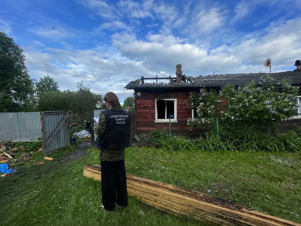 На пожаре в Пестове погибла женщина и пострадал её 14-летний внук На пожаре в Пестове погибла женщина и пострадал её 14-летний внук