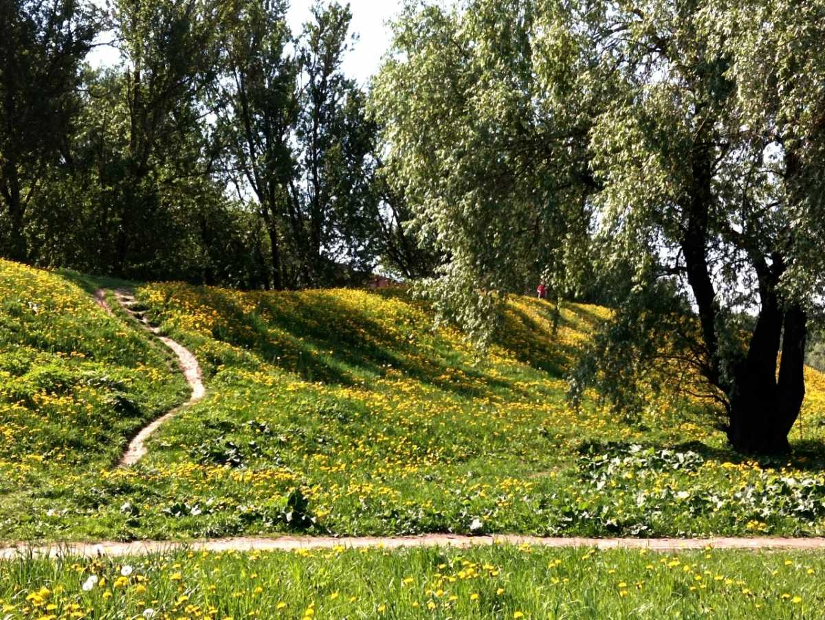 В Новгородской области возможны ночные заморозки В Новгородской области возможны ночные заморозки