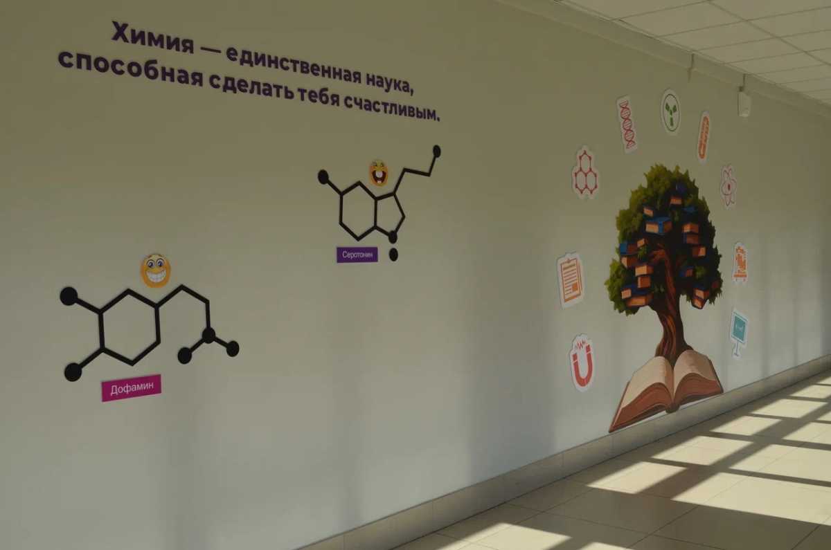 Выпускники в Новгородской области отдают предпочтение предметам естественно-научной направленности Выпускники в Новгородской области отдают предпочтение предметам естественно-научной направленности