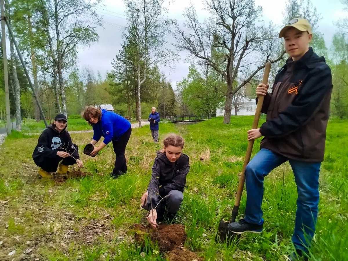 В музее-усадьбе Суворова в Боровичском округе высадили дубки В музее-усадьбе Суворова в Боровичском округе высадили дубки