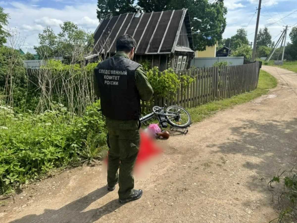 В Батецком погибла 70-летняя пенсионерка на электровелосипеде В Батецком погибла 70-летняя пенсионерка на электровелосипеде