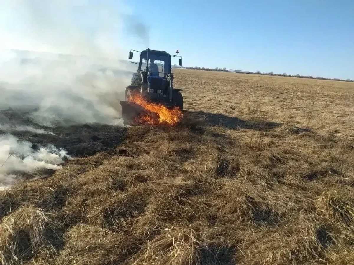 В Новгородской области потушили восемь природных пожаров площадью около 10 га В Новгородской области потушили восемь природных пожаров площадью около 10 га