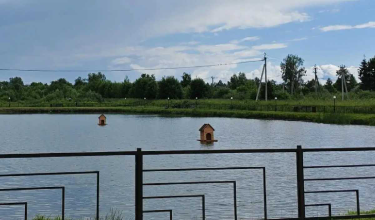 Новые домики для уток построили на Дахинском пруду в Крестцах Новые домики для уток построили на Дахинском пруду в Крестцах