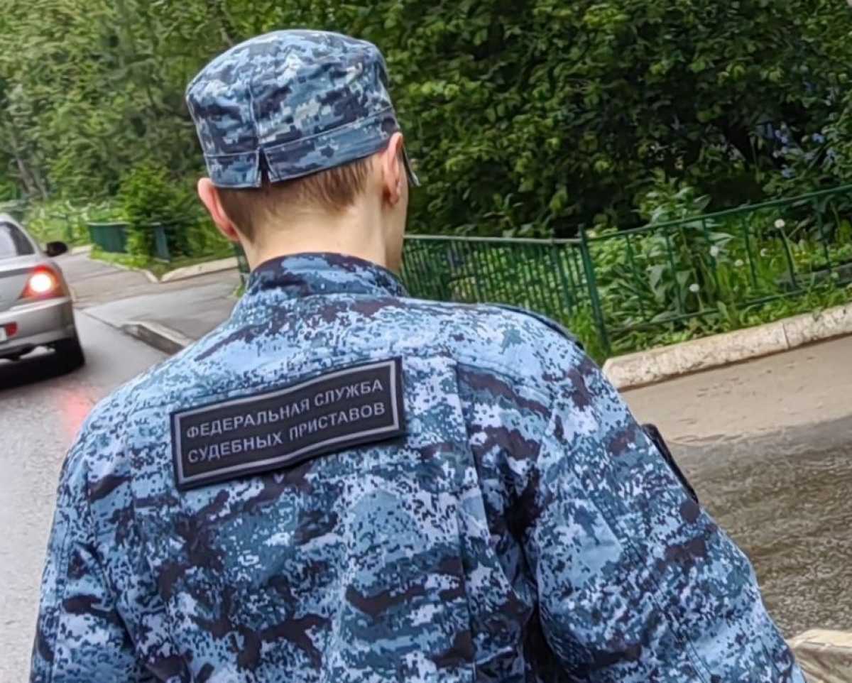 Новгородского алиментщика арестовали, когда он шёл сдавать металлолом Новгородского алиментщика арестовали, когда он шёл сдавать металлолом