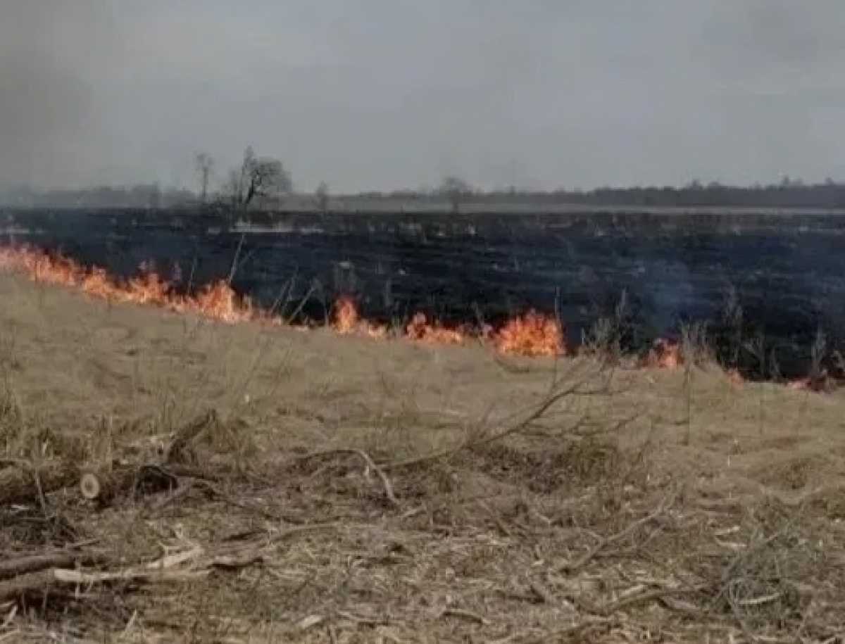 Особый противопожарный режим отменили почти во всей Новгородской области Особый противопожарный режим отменили почти во всей Новгородской области