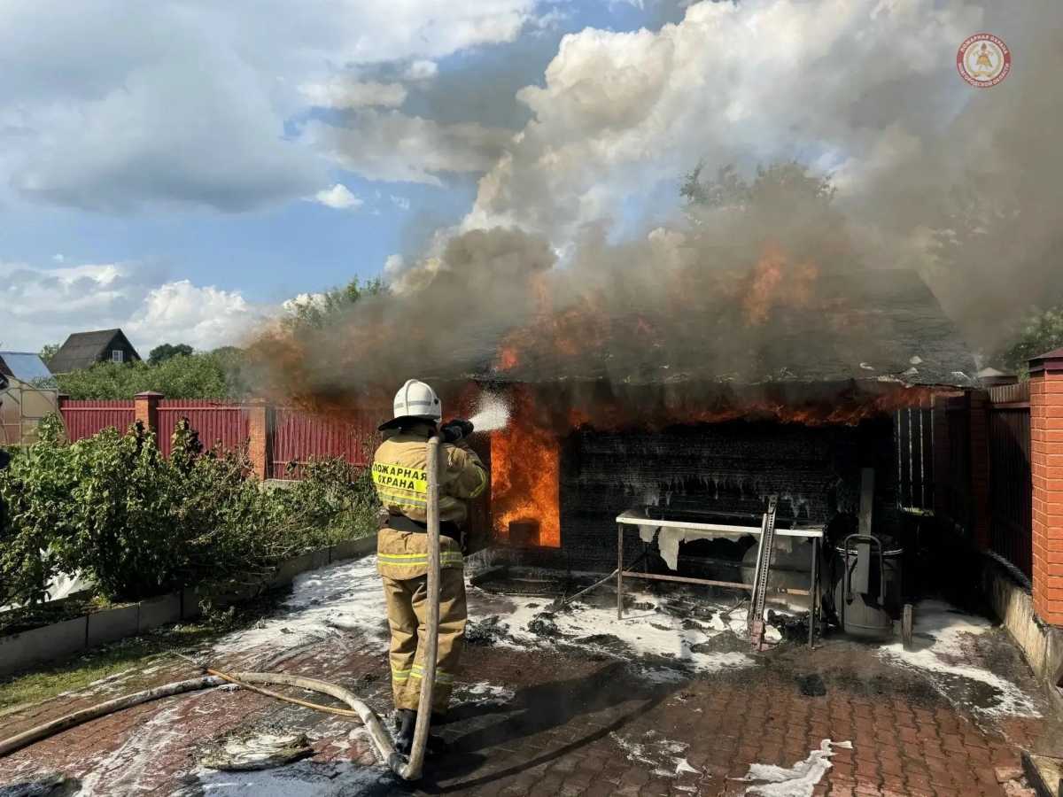Пожар в новгородских Кречевицах возник во время окуривания пчёл дымом Пожар в новгородских Кречевицах возник во время окуривания пчёл дымом