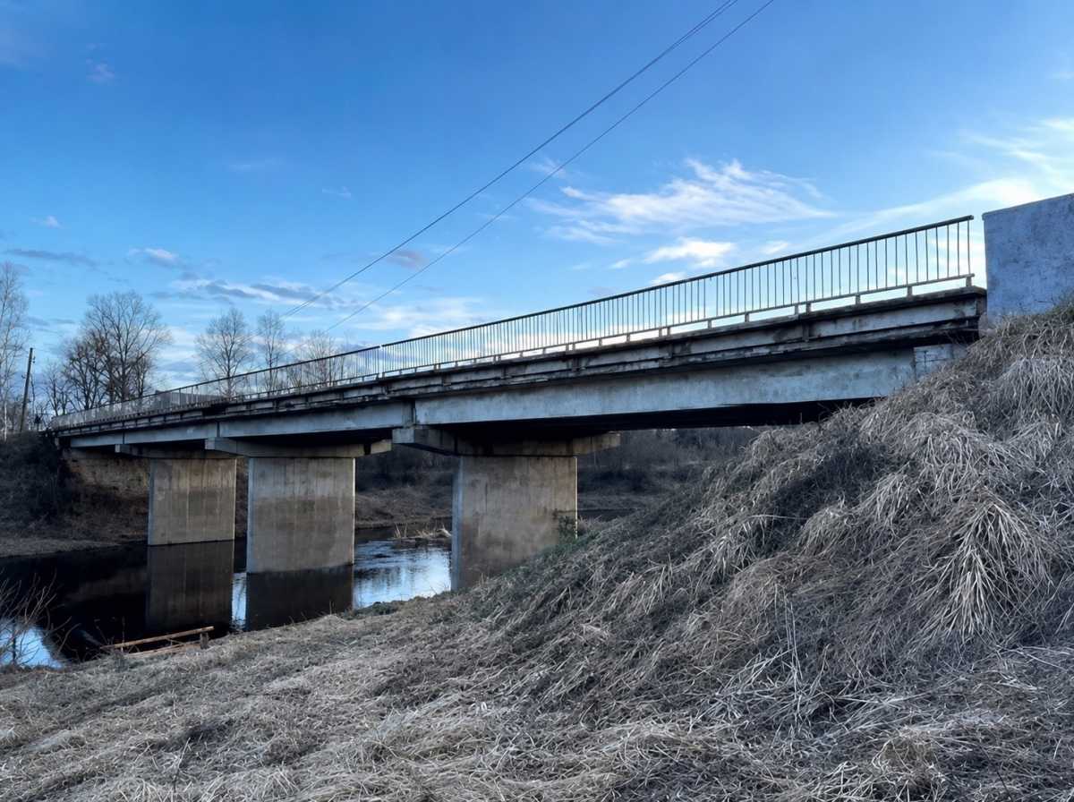 На дороге Новоселицы – Папоротно в Новгородском округе отремонтируют мост через Вишеру На дороге Новоселицы – Папоротно в Новгородском округе отремонтируют мост через Вишеру