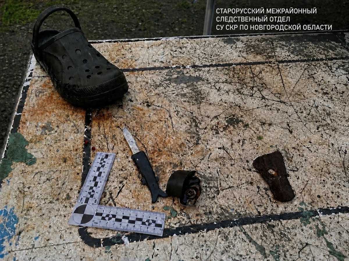 Мужчину задержали за попытку зарезать приятеля в Сольцах Мужчину задержали за попытку зарезать приятеля в Сольцах