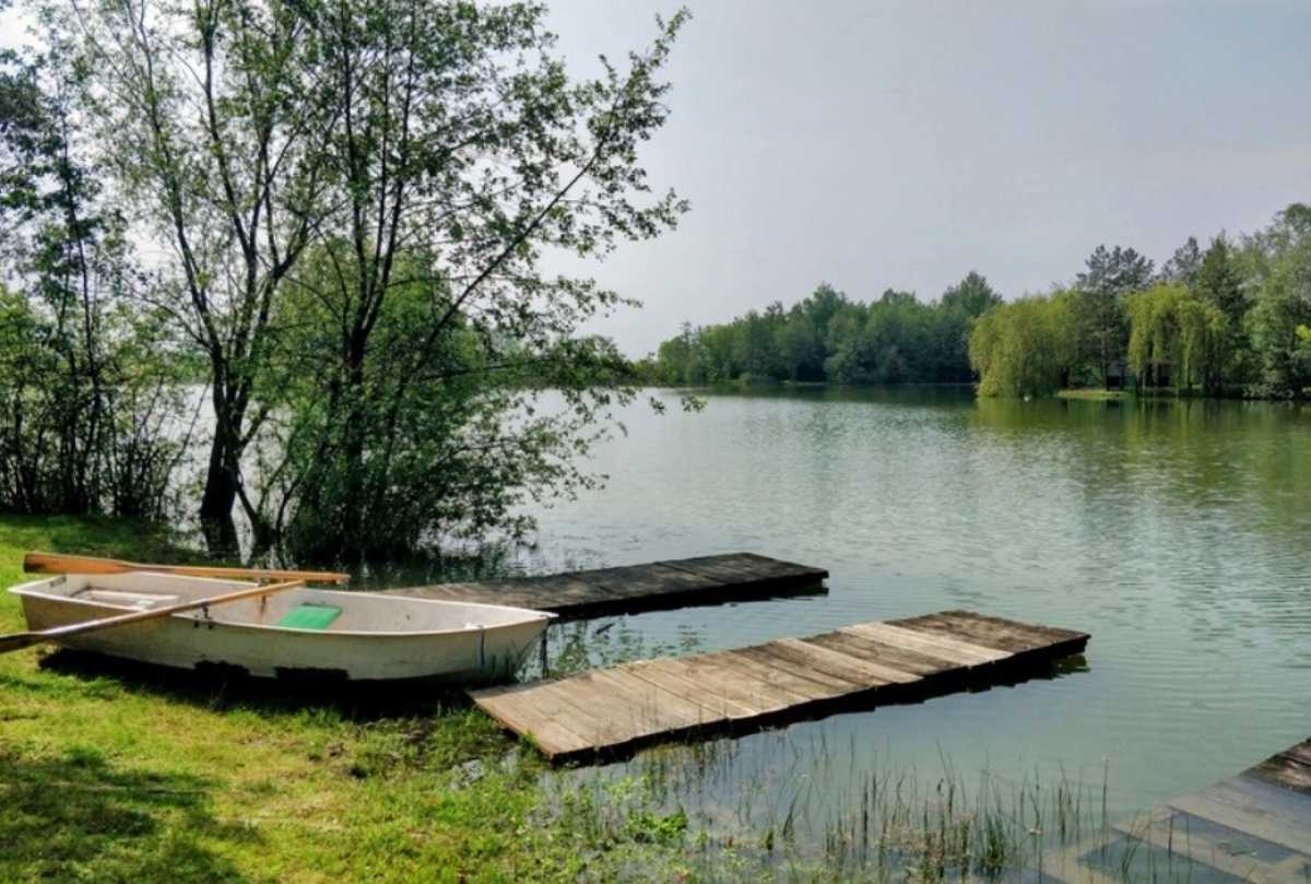 Жительница Окуловского округа незаконно захватила часть берега озера Боровно Жительница Окуловского округа незаконно захватила часть берега озера Боровно