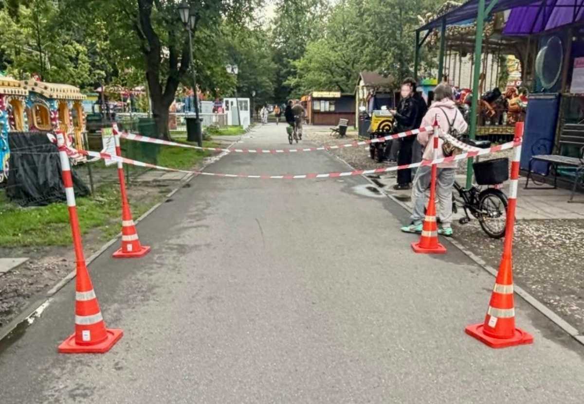 В новгородском парке 30-летия Октября неизвестный водитель сбил ребёнка В новгородском парке 30-летия Октября неизвестный водитель сбил ребёнка