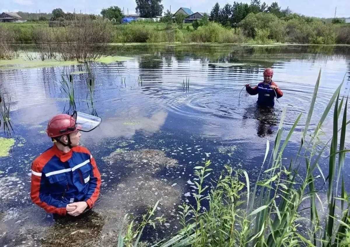 Более 7 тысяч жителей Новгородской области подключили к энергоснабжению Более 7 тысяч жителей Новгородской области подключили к энергоснабжению