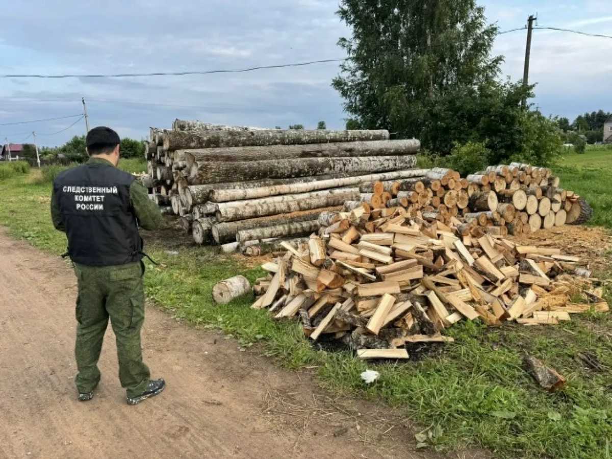 Жителя Новгородского округа обвиняют в изнасиловании и убийстве женщины Жителя Новгородского округа обвиняют в изнасиловании и убийстве женщины