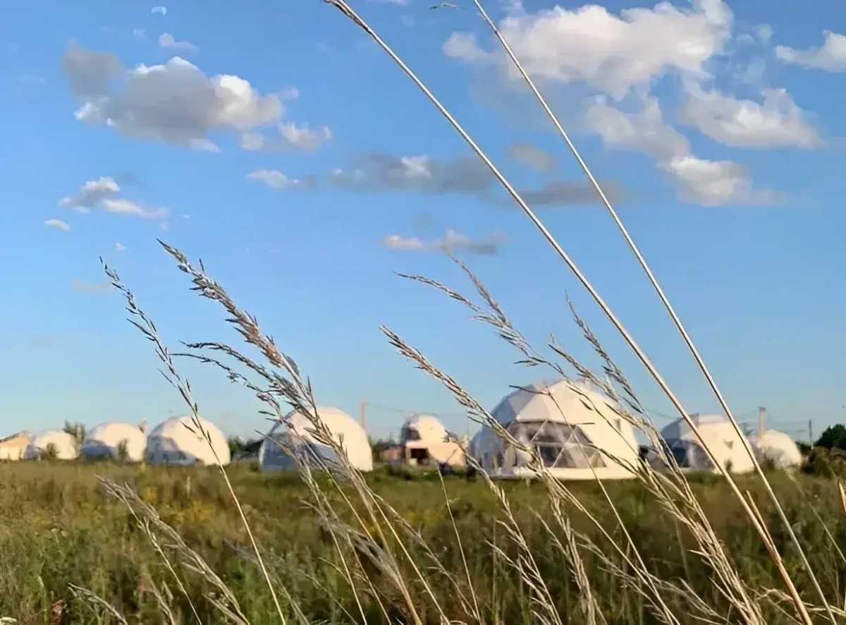 В бывшем коровнике под Старой Руссе откроют арт-галерею В бывшем коровнике под Старой Руссе откроют арт-галерею