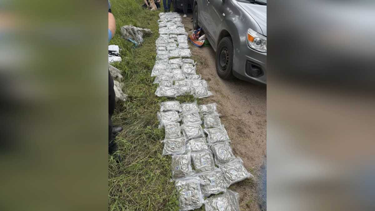 В Боровичском округе полицейские остановили наркокурьера с 22 кг марихуаны В Боровичском округе полицейские остановили наркокурьера с 22 кг марихуаны