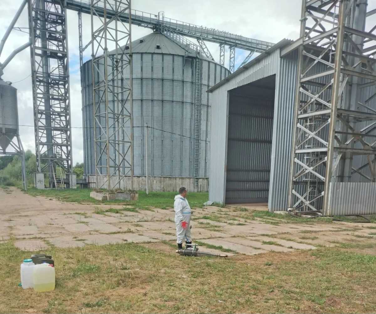 В хозяйствах Новгородской области овощехранилища готовят к приёму нового урожая В хозяйствах Новгородской области овощехранилища готовят к приёму нового урожая