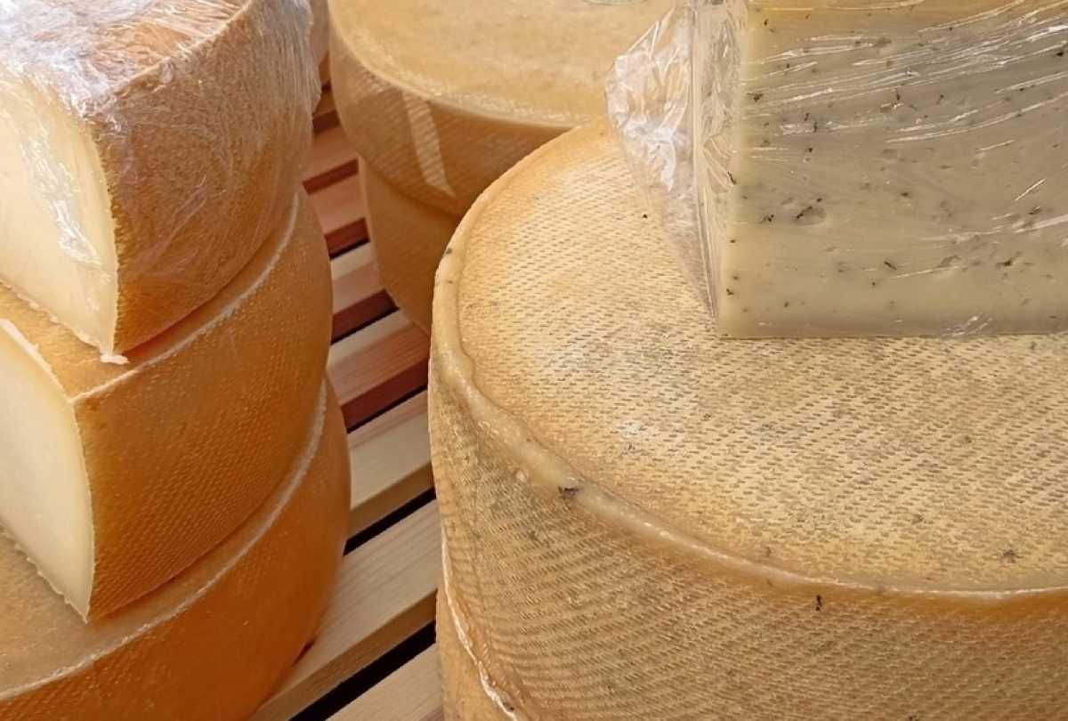 Лучшие новгородские сыры, хлеб и рыбу определят на конкурсе «ВкусНо» Лучшие новгородские сыры, хлеб и рыбу определят на конкурсе «ВкусНо»