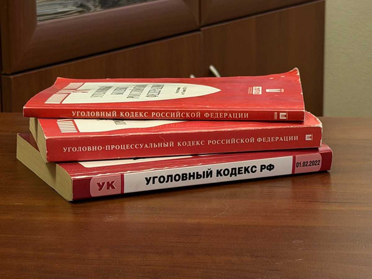В Старой Руссе женщина осуждена за нападение на полицейского В Старой Руссе женщина осуждена за нападение на полицейского