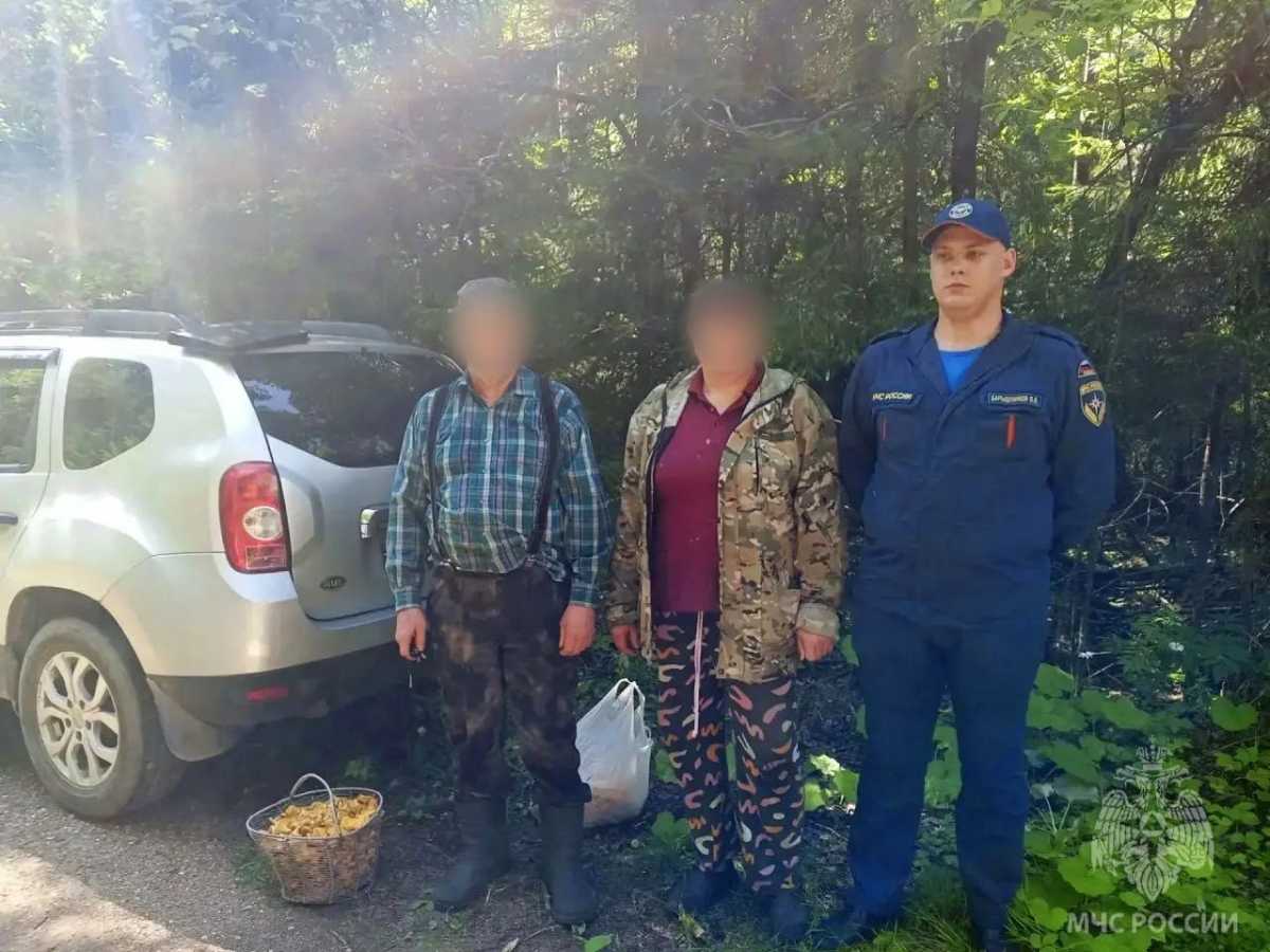 С начала года в лесах Новгородской области заблудились 55 человек С начала года в лесах Новгородской области заблудились 55 человек