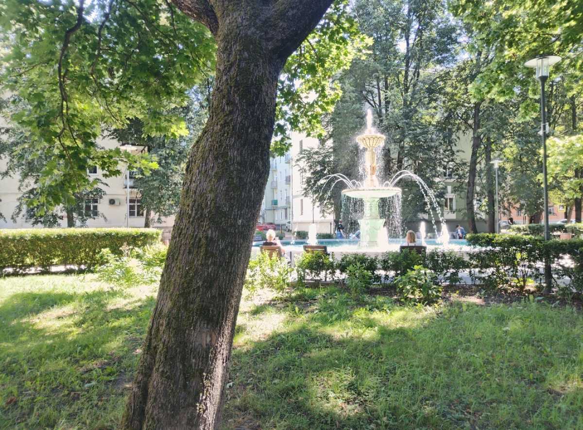 Череду прохладных дней в Новгородской области сменит 26-градусное тепло Череду прохладных дней в Новгородской области сменит 26-градусное тепло