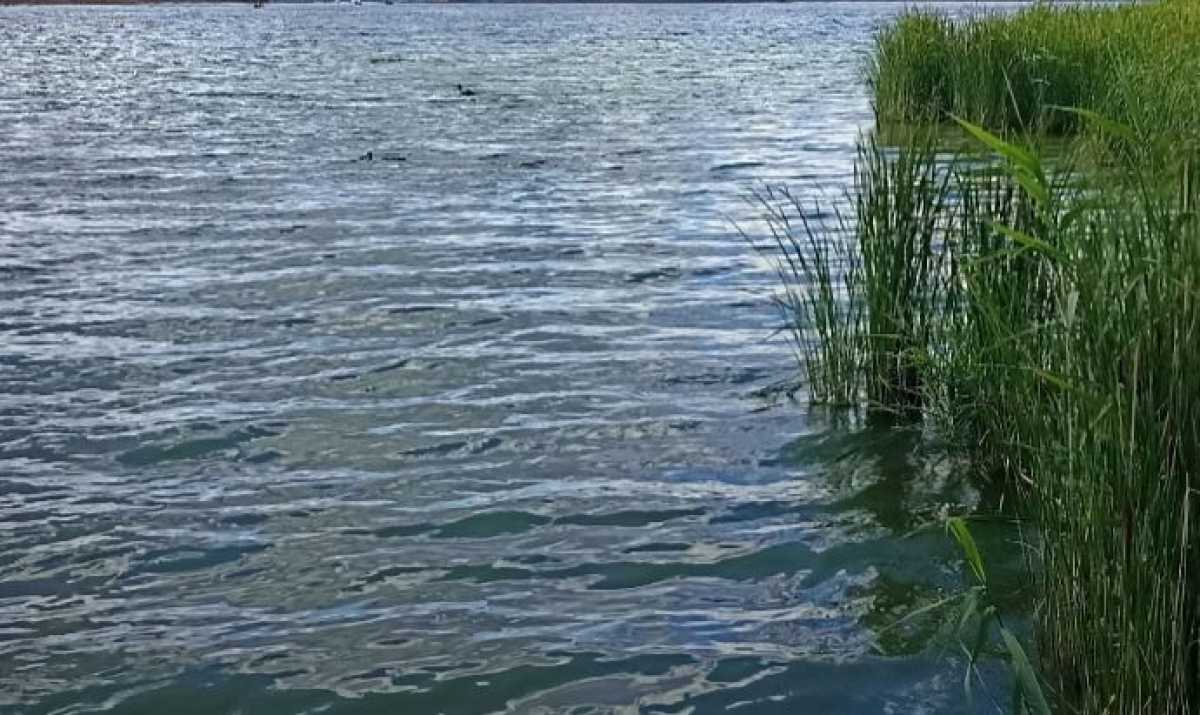В озере Вельё в Демянском округе утонул мужчина В озере Вельё в Демянском округе утонул мужчина