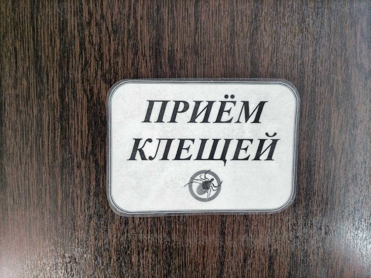 Клещевым энцефалитом в Новгородской области заболели четыре человека Клещевым энцефалитом в Новгородской области заболели четыре человека