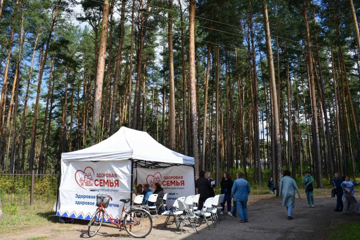Более 330 жителей Хвойнинского округа получили консультации специалистов проекта «Здоровая семья» Более 330 жителей Хвойнинского округа получили консультации специалистов проекта «Здоровая семья»