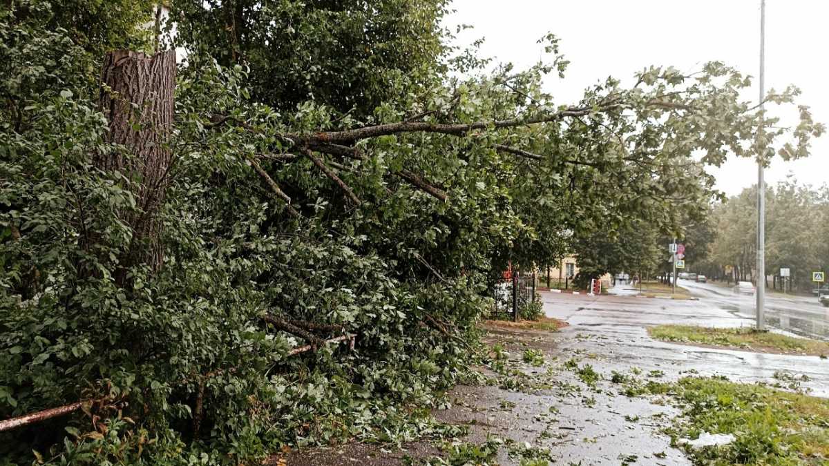 Непогода оставила без света жителей в 15 округах Новгородской области Непогода оставила без света жителей в 15 округах Новгородской области