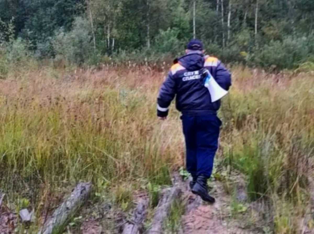 В Старорусском округе спасатели вывели из леса заблудившегося мужчину В Старорусском округе спасатели вывели из леса заблудившегося мужчину