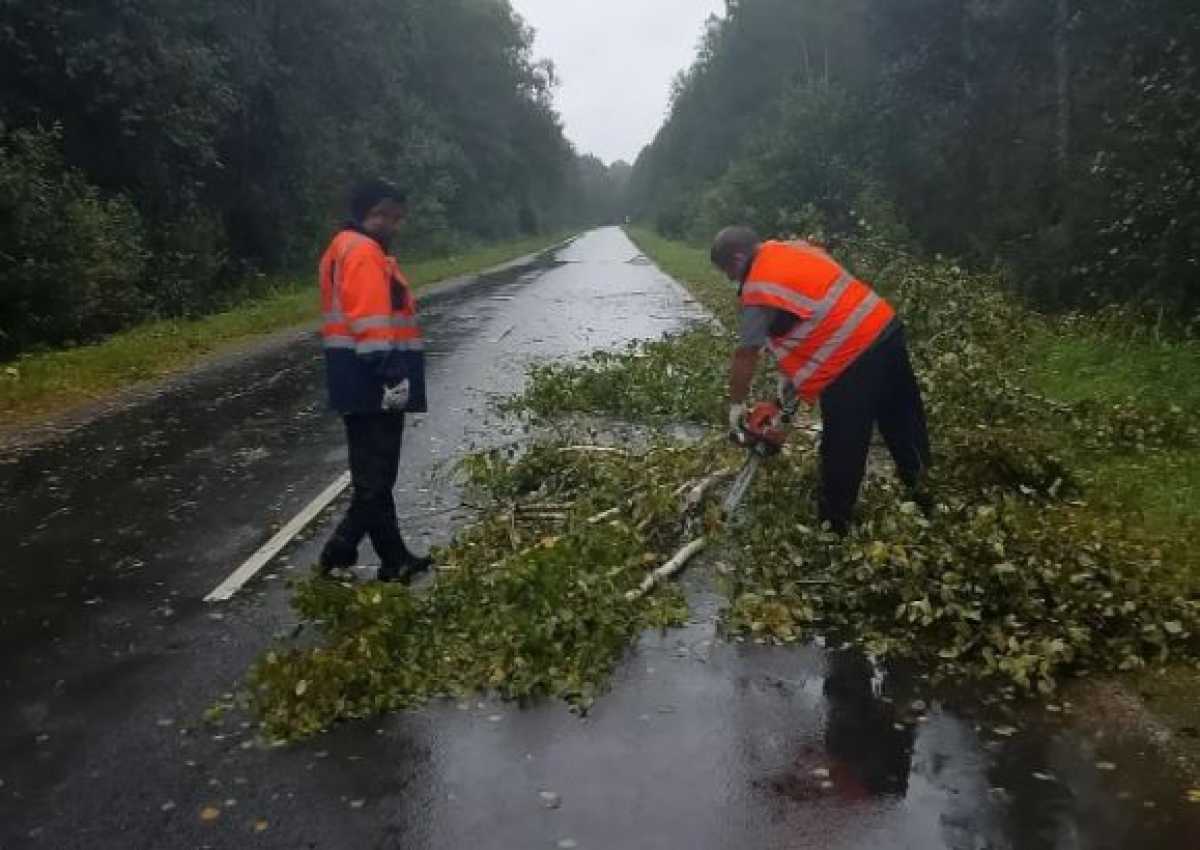 Из-за непогоды в Новгородской области усилили контроль за состоянием дорог Из-за непогоды в Новгородской области усилили контроль за состоянием дорог