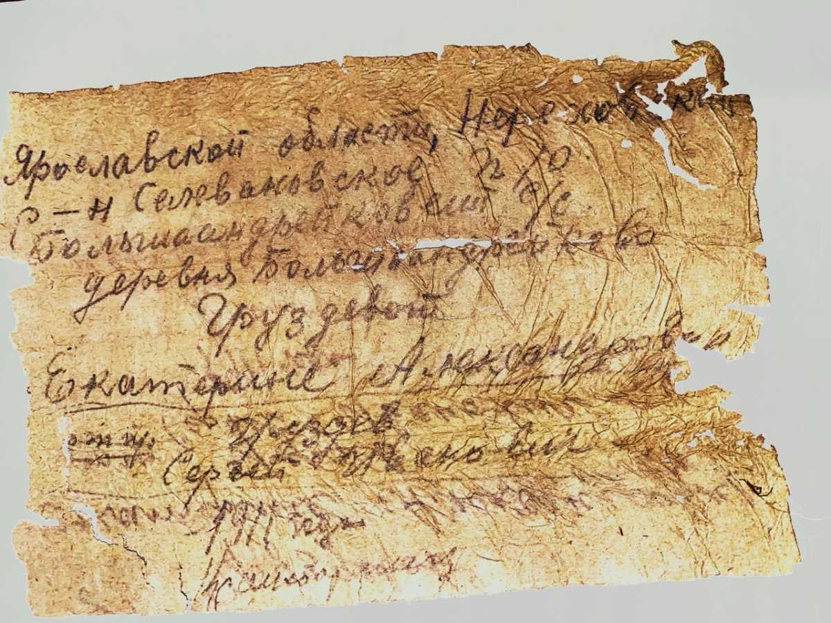 В Парфинском округе нашли останки направлявшихся в госпиталь красноармейцев В Парфинском округе нашли останки направлявшихся в госпиталь красноармейцев