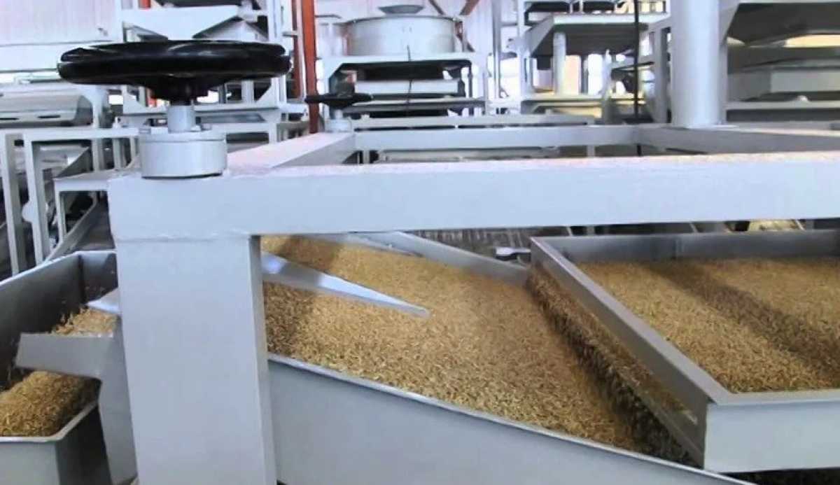Новгородское зерновое предприятие поставляет продукцию в Китай и Саудовскую Аравию Новгородское зерновое предприятие поставляет продукцию в Китай и Саудовскую Аравию