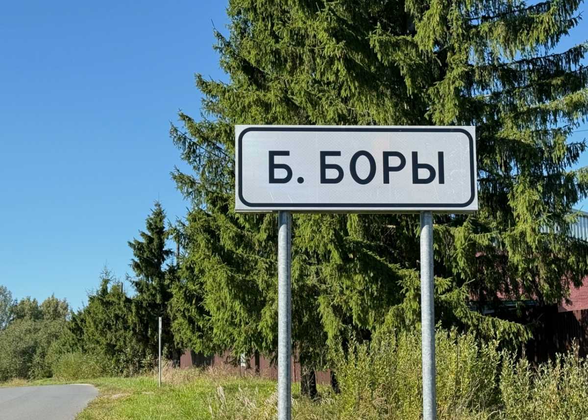 В Больших Борах и Ивановском под Старой Руссой появились мобильная связь и интернет В Больших Борах и Ивановском под Старой Руссой появились мобильная связь и интернет