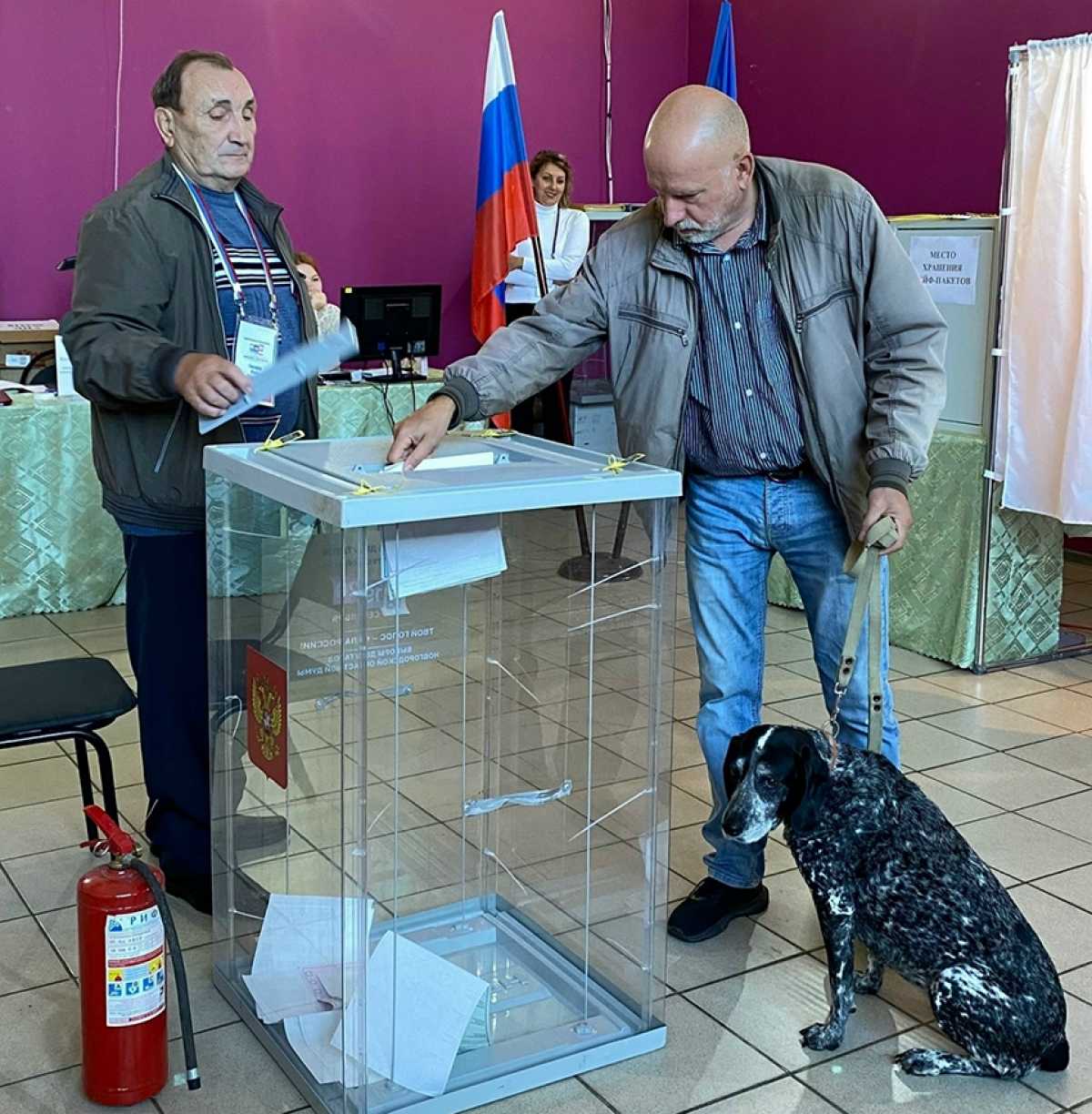 Новгородцы приходят на выборы вместе с домашними питомцами Новгородцы приходят на выборы вместе с домашними питомцами