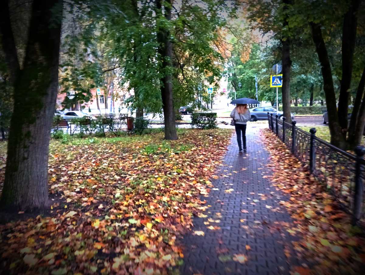 Новгородцев вновь предупредили о ночных ливнях Новгородцев вновь предупредили о ночных ливнях