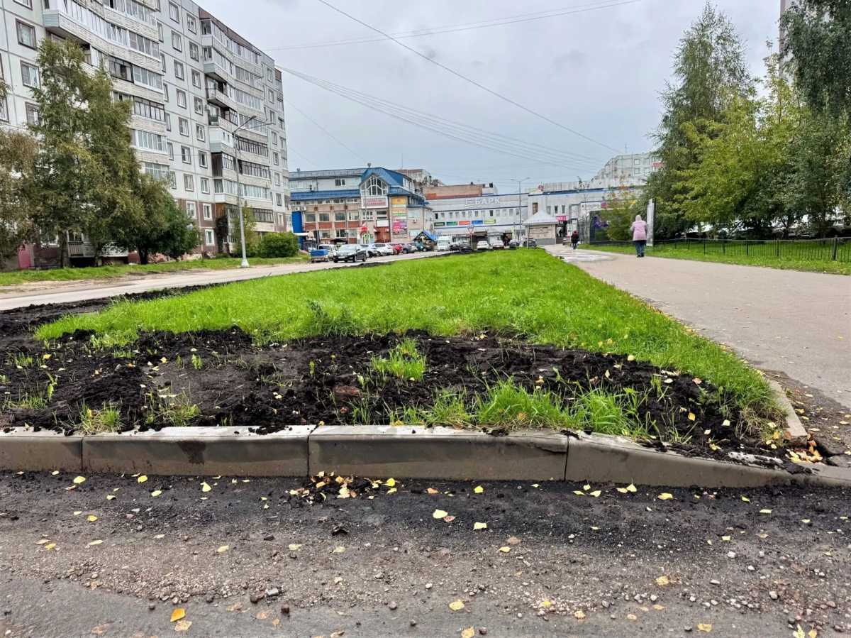 Зелёную зону на улице Свободы в Великом Новгороде благоустроили по инициативе горожан Зелёную зону на улице Свободы в Великом Новгороде благоустроили по инициативе горожан